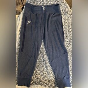 Under Armour Project Rock Terry Jogger Bull Logo Sweatpants